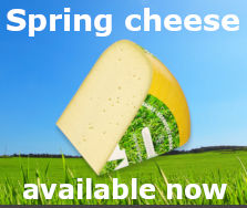Dutch creamy spring cheese online