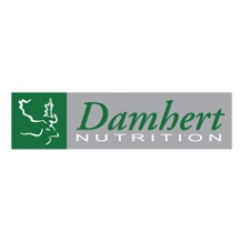Damhert